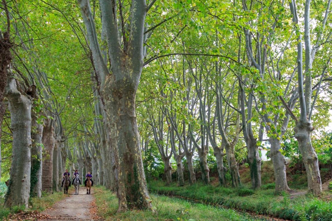 16 Chemin Des Ratequats Villa Mirepeisset Exterior foto